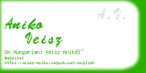 aniko veisz business card